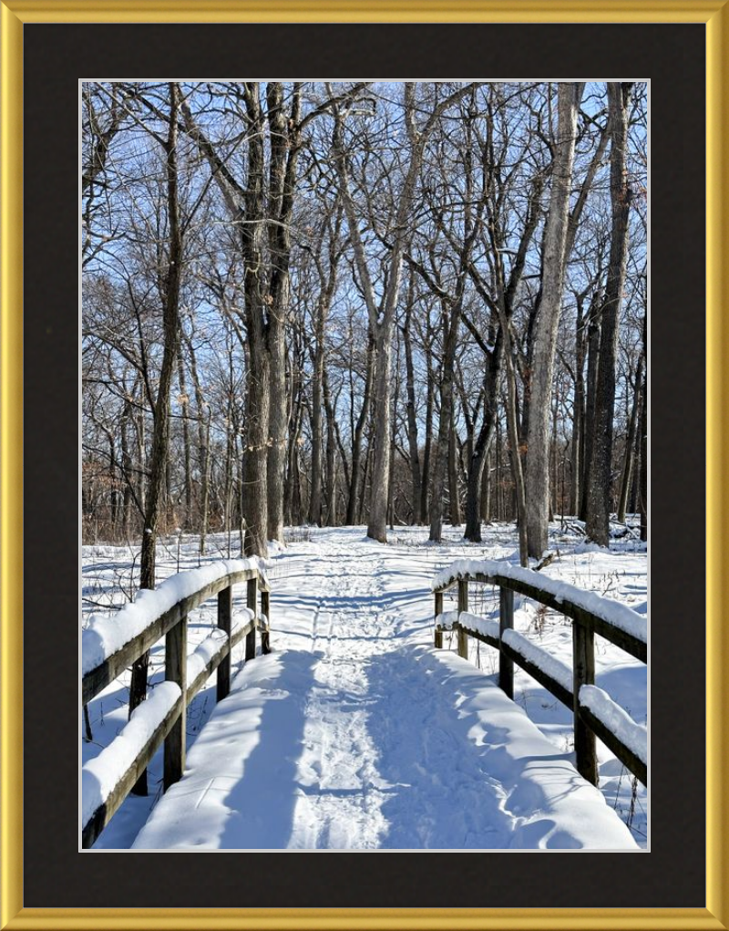 Crunch Crunch Says the Snow