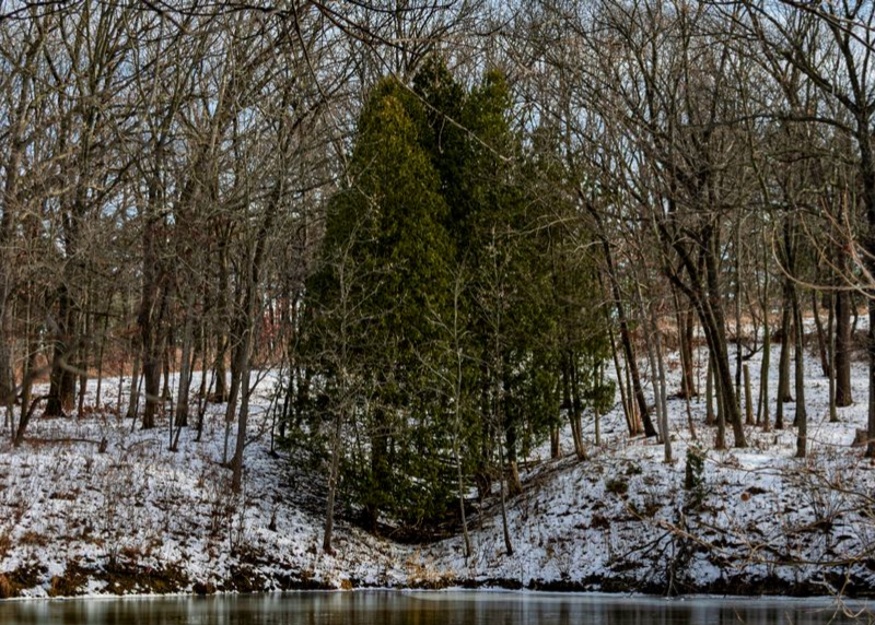 Snow-covered ground with trees and a body of water in the foreground
