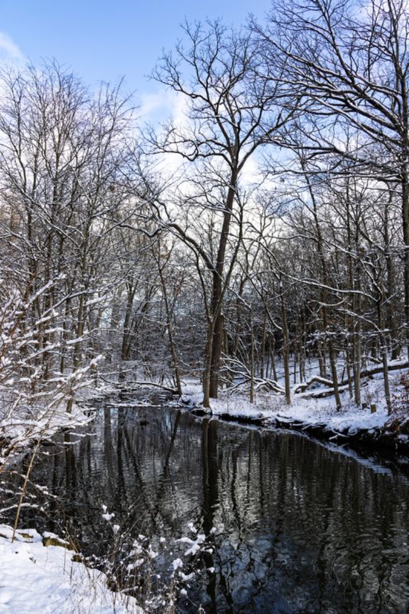 Crystal Ice Creek