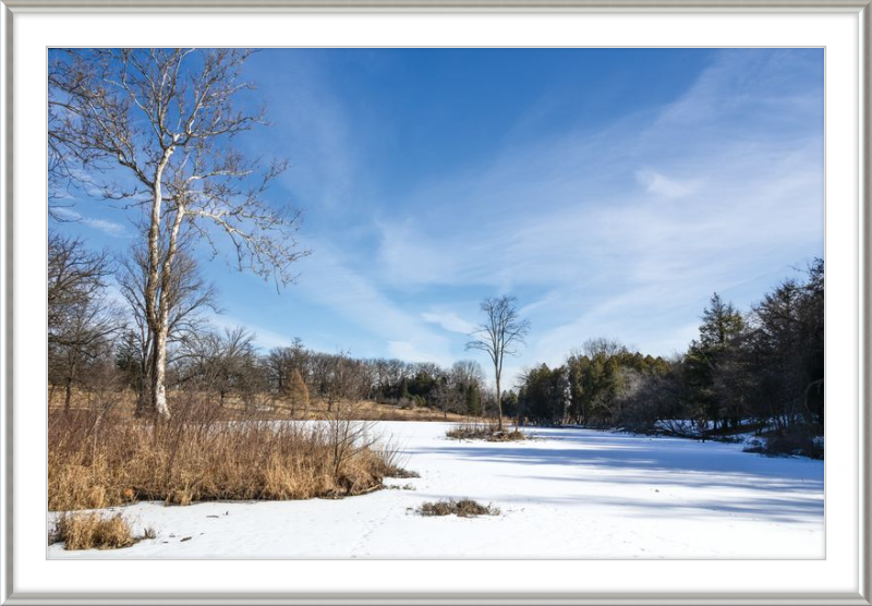 Lake Marmo at Morton Arboretum Lisle, IL