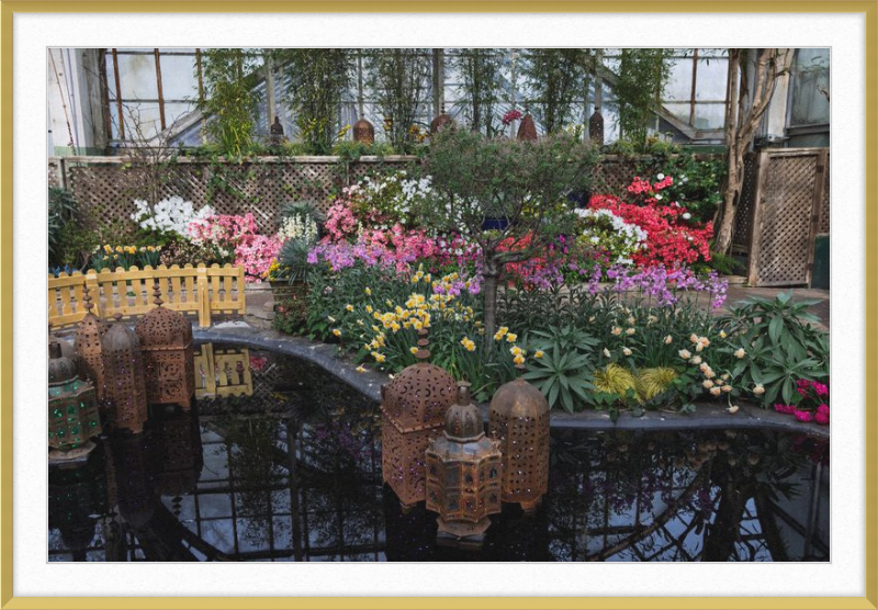 Jewels of Spring Flower Show Lincoln Park Conservatory