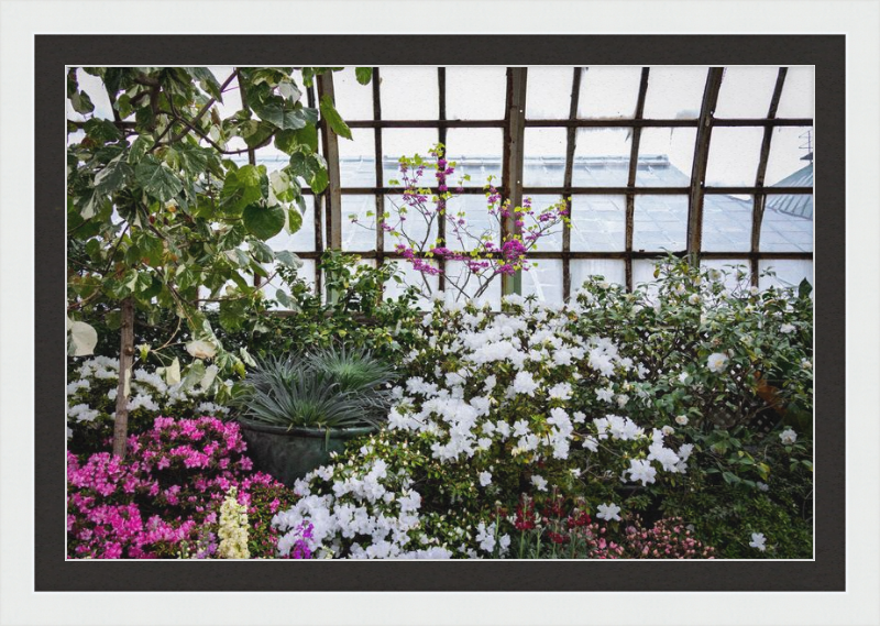 Conservatory View