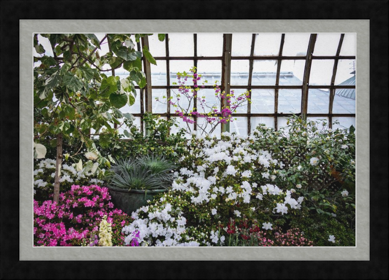 Conservatory View
