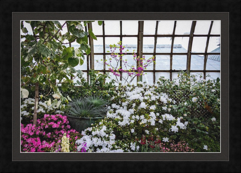 Conservatory View