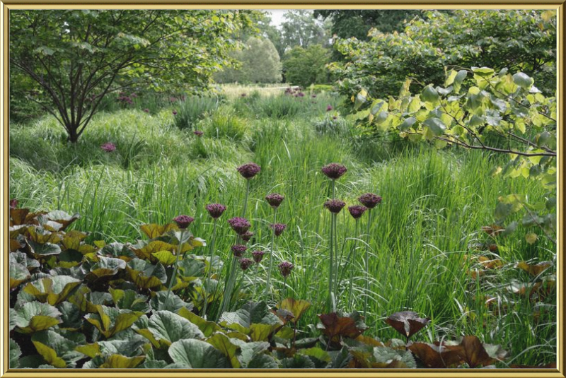Waving Grass and Perky Flowers