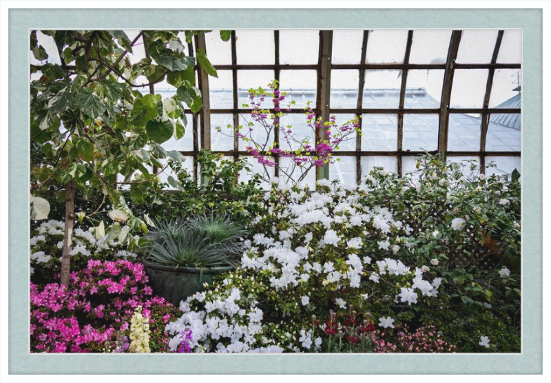 Conservatory View