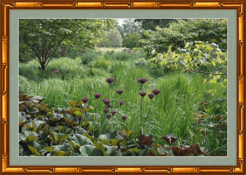 Waving Grass and Perky Flowers