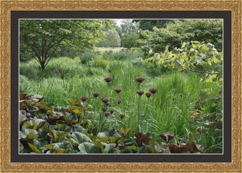 Waving Grass and Perky Flowers