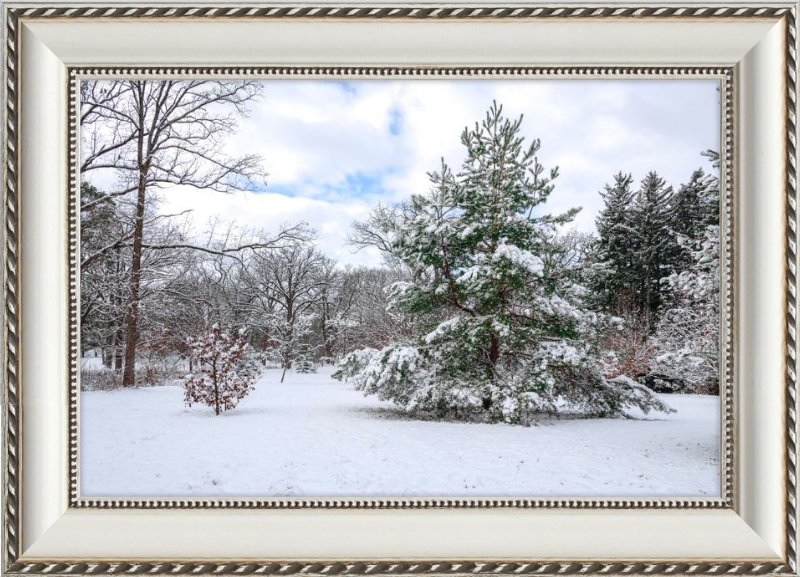 Frosty Winter Wonderland
