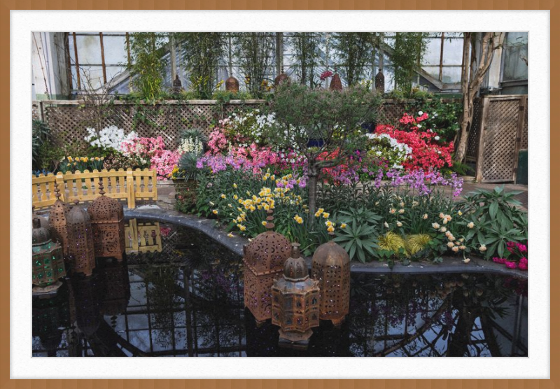 Jewels of Spring Flower Show Lincoln Park Conservatory