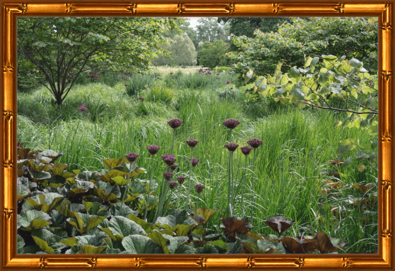 Waving Grass and Perky Flowers