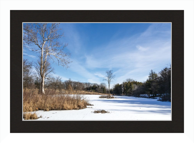 Lake Marmo at Morton Arboretum Lisle, IL
