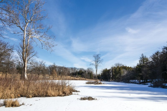 Lake Marmo at Morton Arboretum Lisle, IL