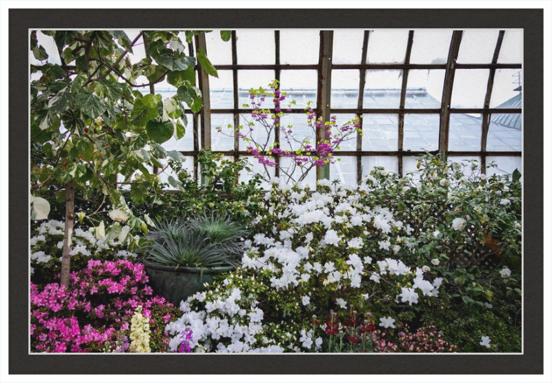 Conservatory View