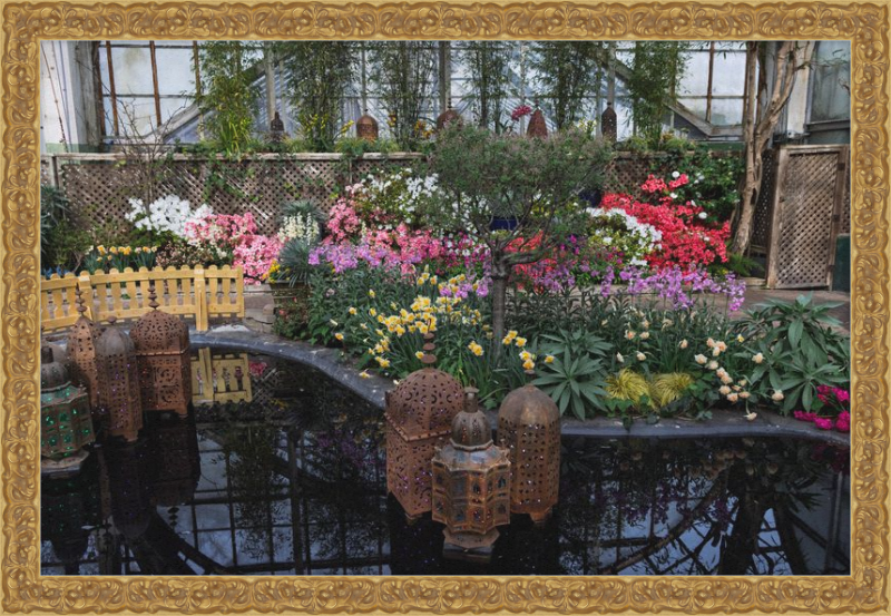 Jewels of Spring Flower Show Lincoln Park Conservatory