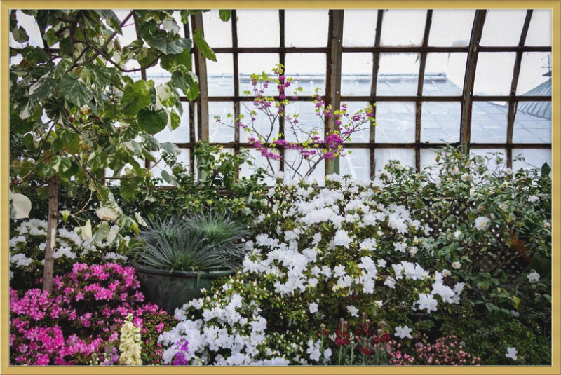 Conservatory View