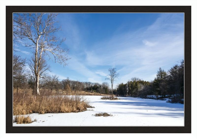 Lake Marmo at Morton Arboretum Lisle, IL