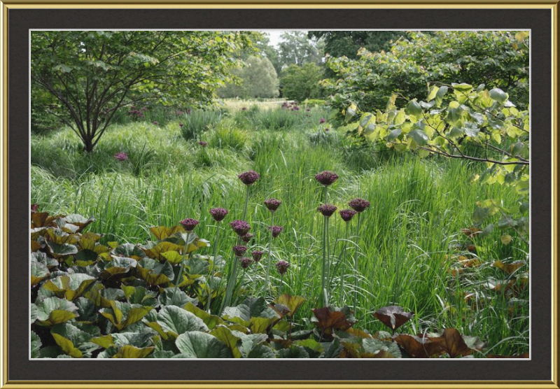 Waving Grass and Perky Flowers