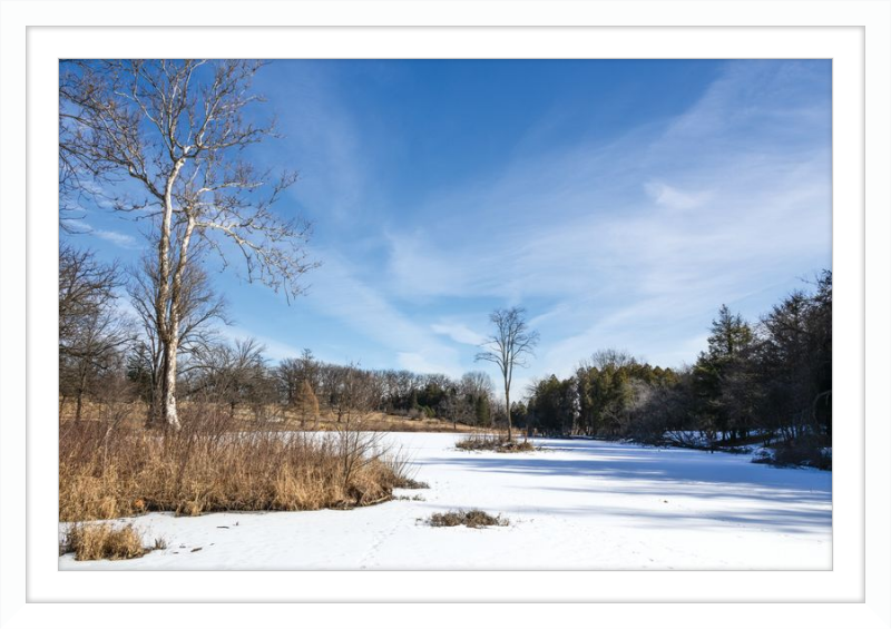 Lake Marmo at Morton Arboretum Lisle, IL