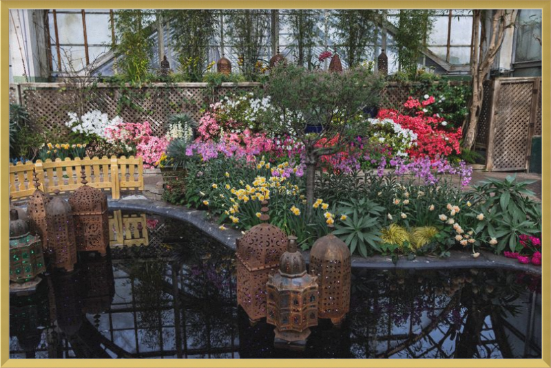 Jewels of Spring Flower Show Lincoln Park Conservatory