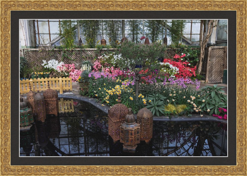 Jewels of Spring Flower Show Lincoln Park Conservatory