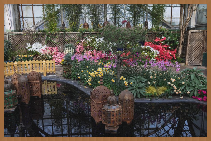 Jewels of Spring Flower Show Lincoln Park Conservatory