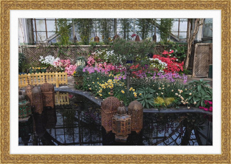 Jewels of Spring Flower Show Lincoln Park Conservatory