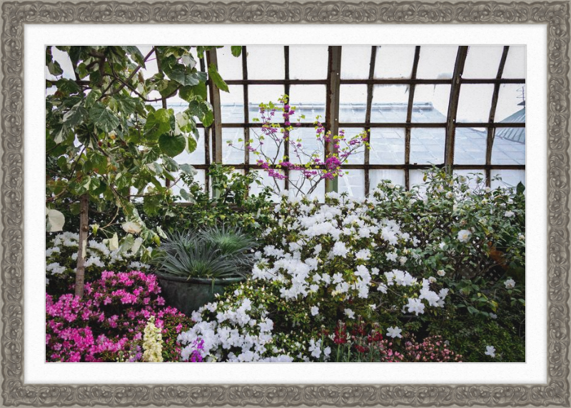 Conservatory View