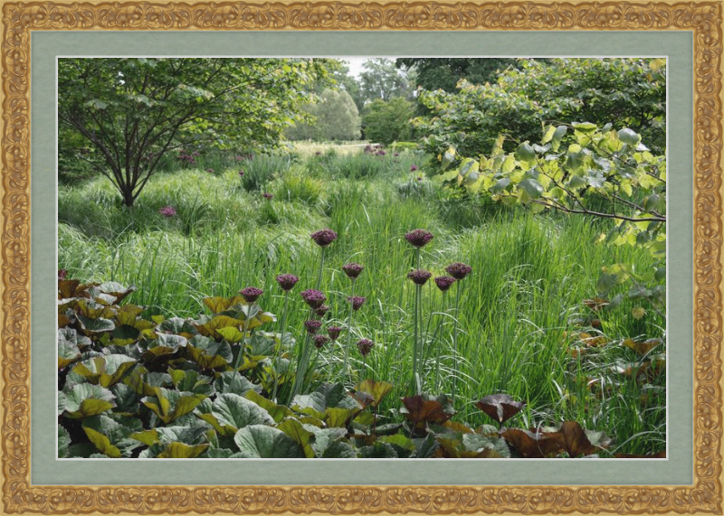 Waving Grass and Perky Flowers