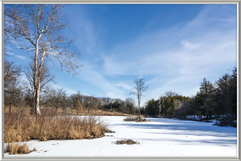 Lake Marmo at Morton Arboretum Lisle, IL