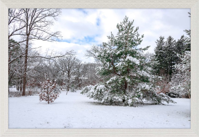 Frosty Winter Wonderland
