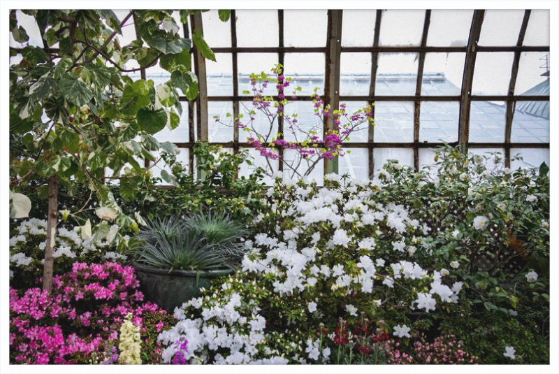 Conservatory View