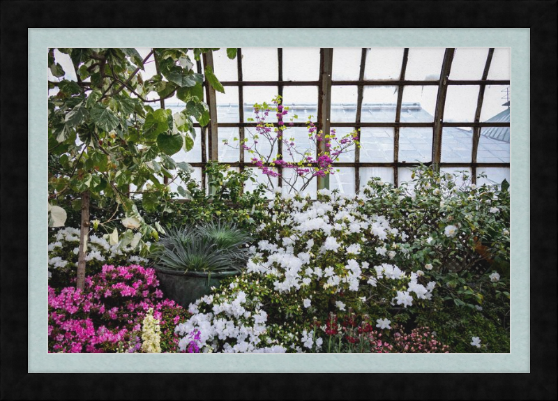 Conservatory View