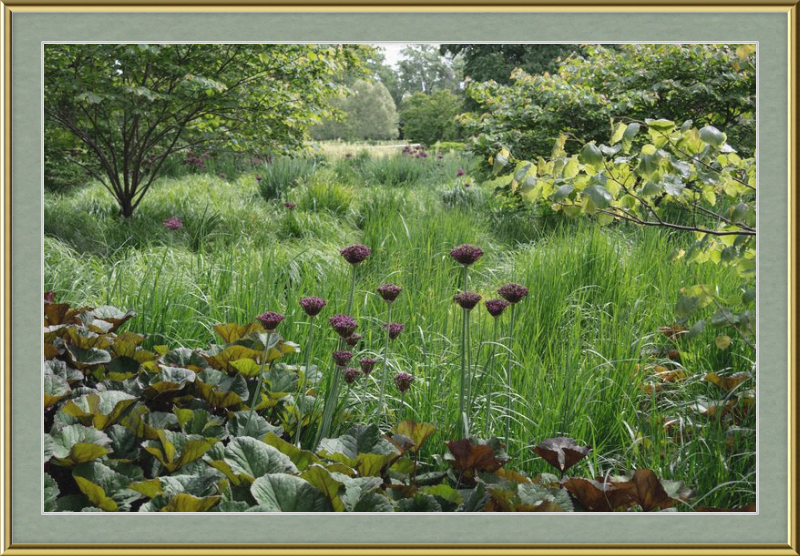 Waving Grass and Perky Flowers