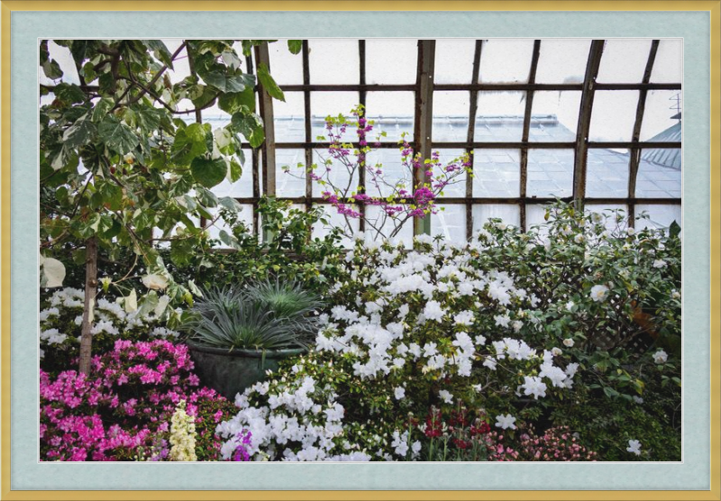 Conservatory View