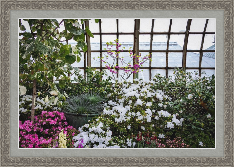 Conservatory View