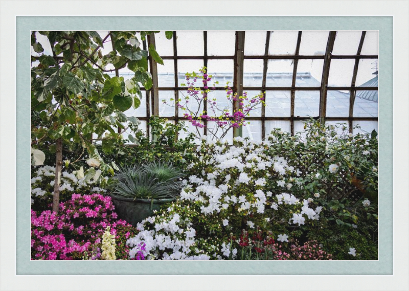 Conservatory View