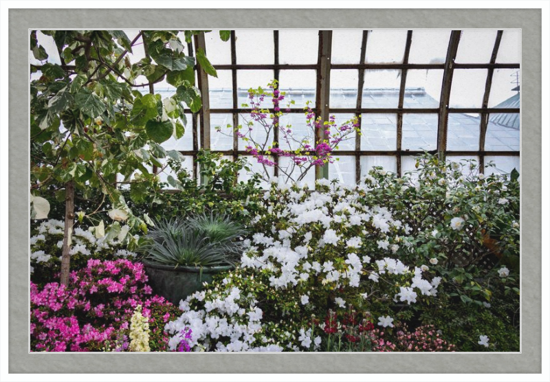 Conservatory View