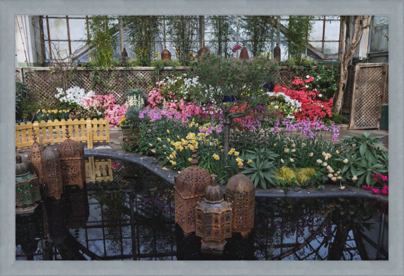 Jewels of Spring Flower Show Lincoln Park Conservatory