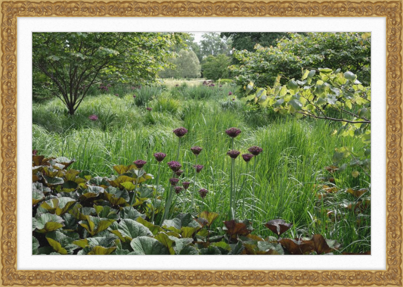 Waving Grass and Perky Flowers