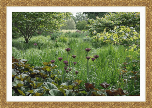 Waving Grass and Perky Flowers