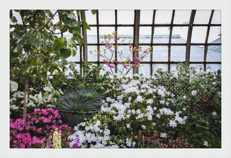 Conservatory View
