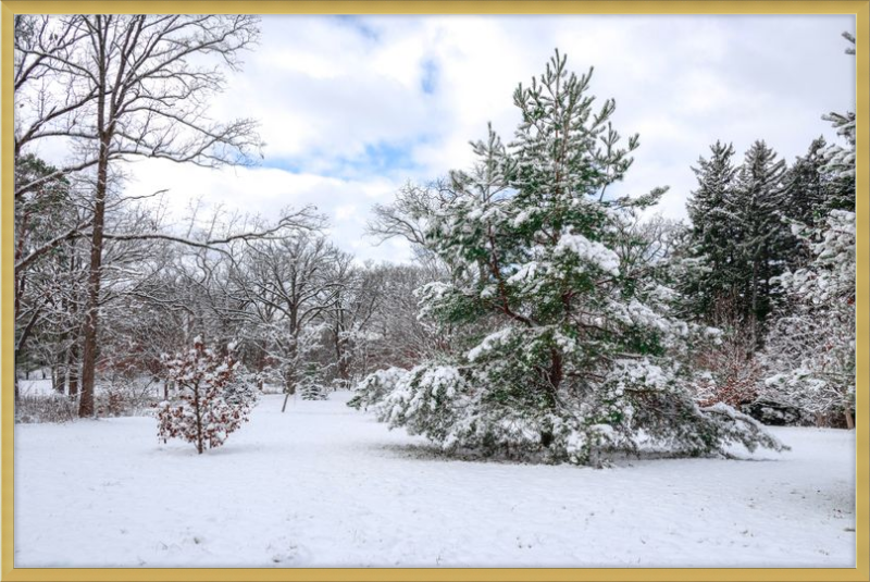 Frosty Winter Wonderland