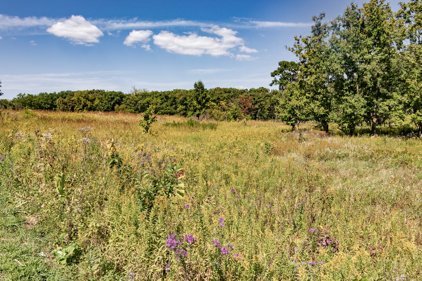 2026 Nature Landscape Wall Calendar