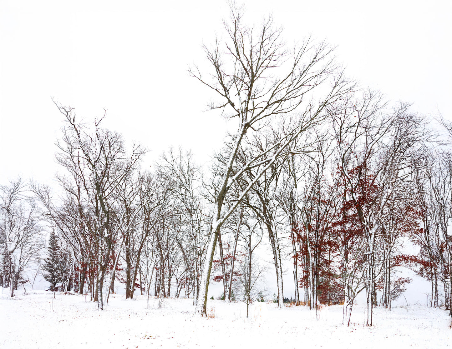 2026 Nature Landscape Wall Calendar