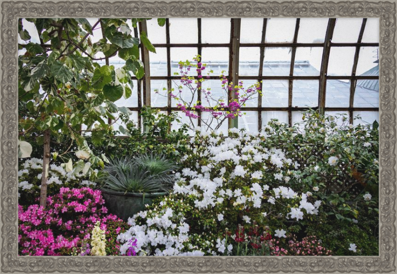Conservatory View
