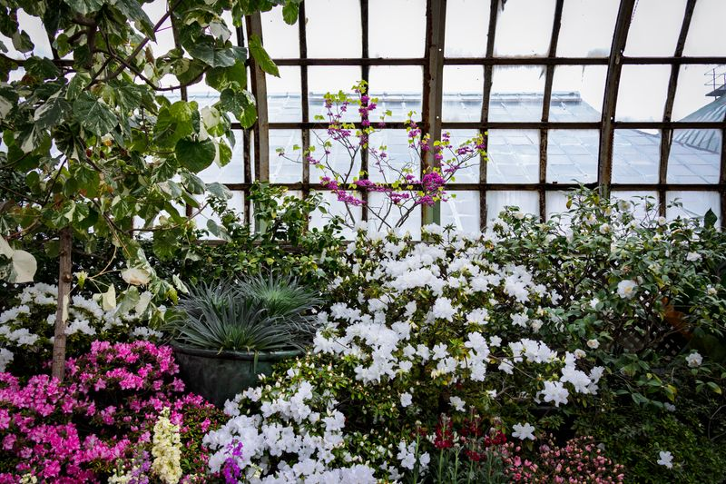 Conservatory View