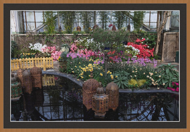Jewels of Spring Flower Show Lincoln Park Conservatory