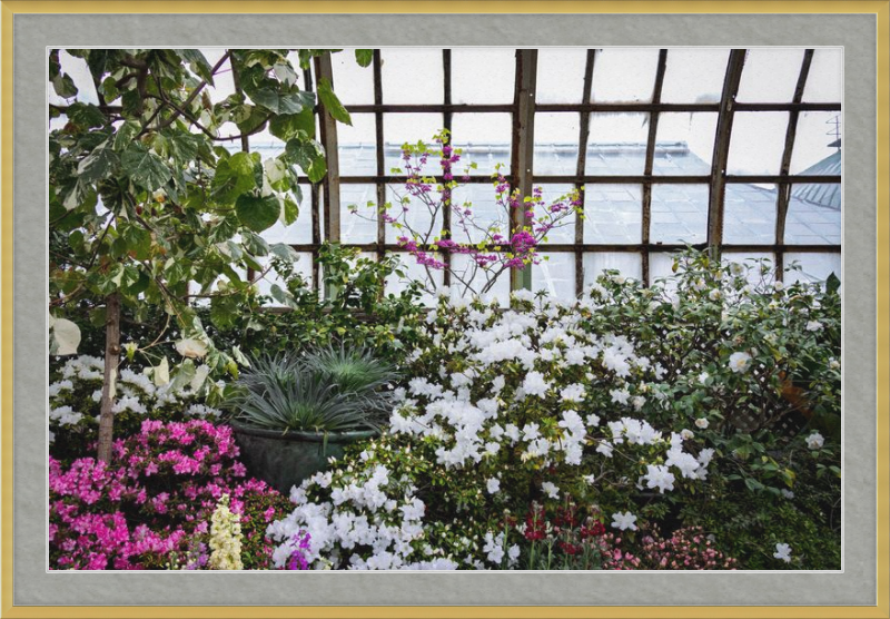 Conservatory View