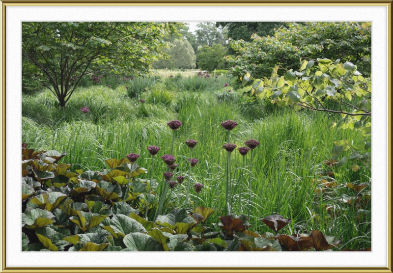Waving Grass and Perky Flowers